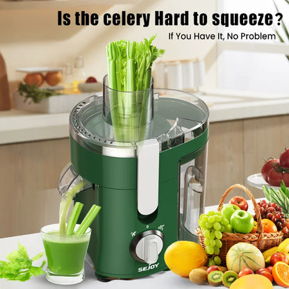 NutriPulse Compact Juicer